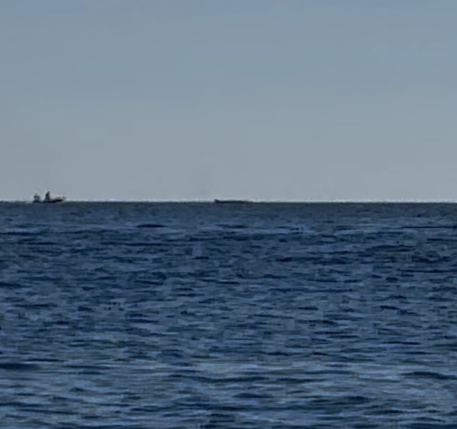 Ballenas Rorcuales en Dénia desde el Kayak Aventura-T